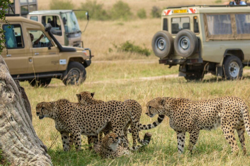 luxury kenya safari private game drive scaled